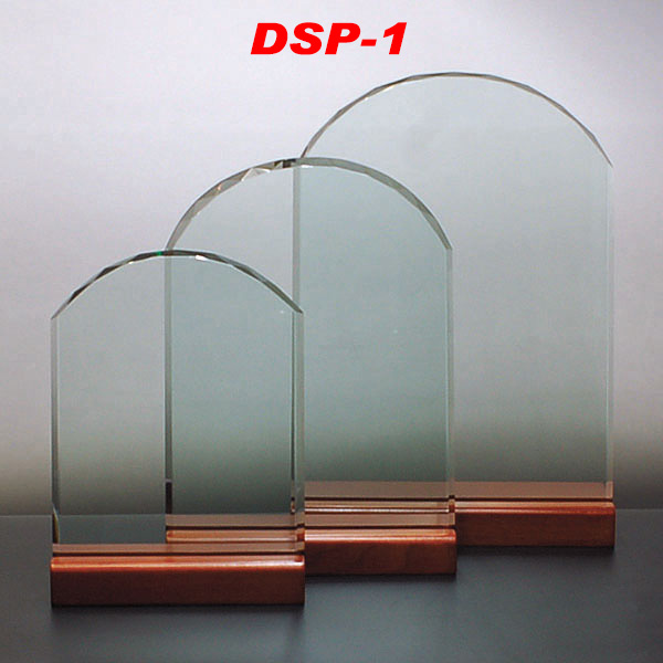 ガラス盾 DSP-1