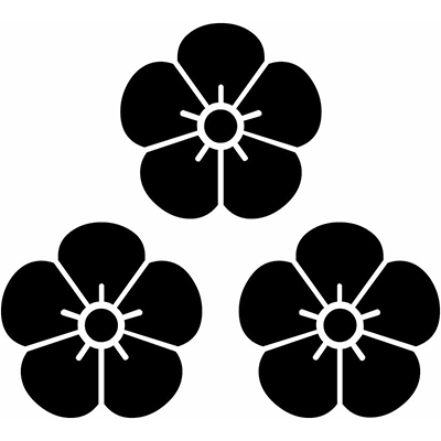 【梅の花】三つ盛り梅の花